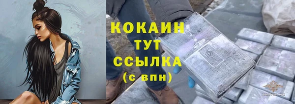 spice Новозыбков