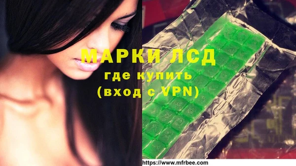 spice Новозыбков