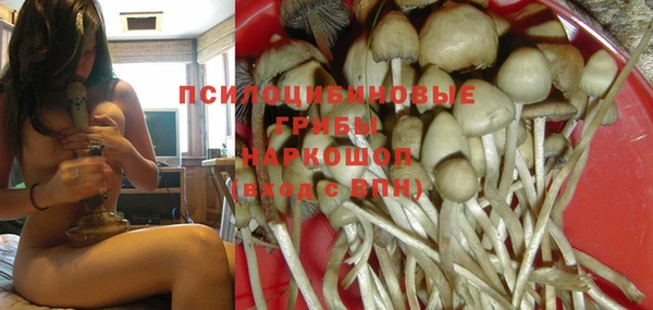 spice Новозыбков