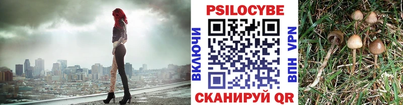 блэк спрут маркетплейс  как найти закладки  Уржум  Галлюциногенные грибы прущие грибы 